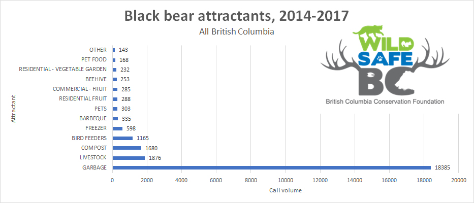 blackbeargraph blackbeargraph