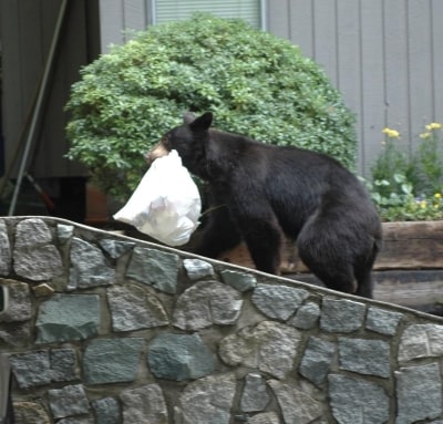 Electric Fencing – WildsafeBC