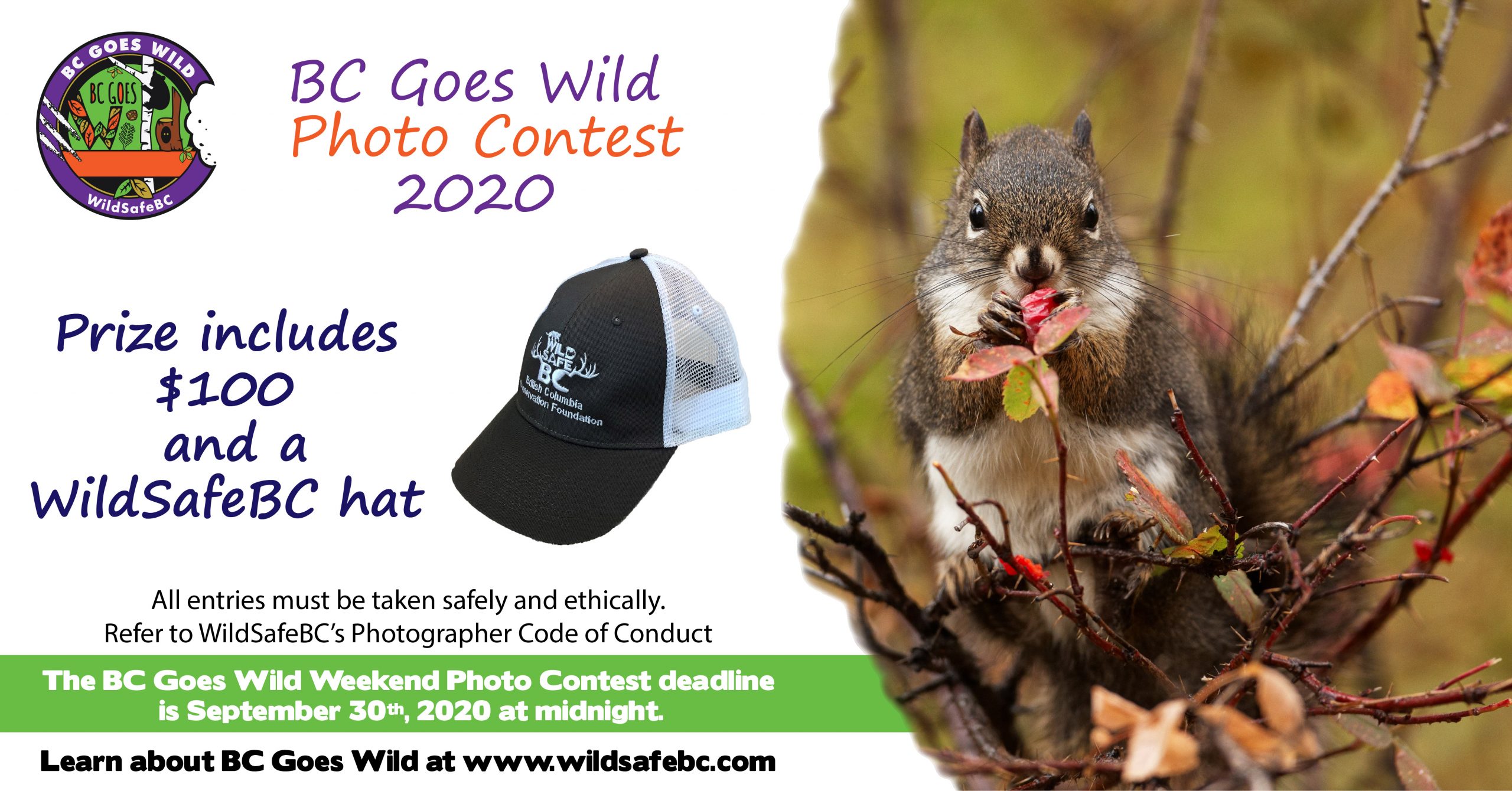 BCGW Photo Contest FB banner_2020-01 BCGW Photo Contest FB banner_2020-01