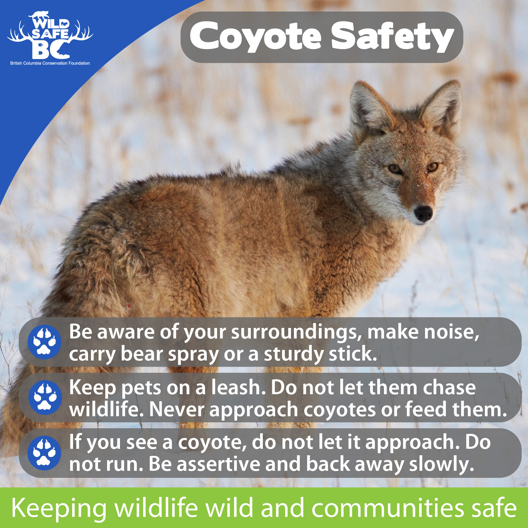 Coyotes — Friend or Foe?, Opinion