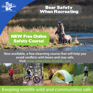 Bear Safety Course promo-01