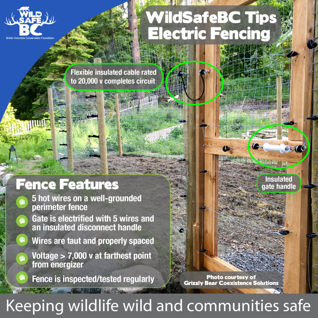 Electric Fencing Wildsafebc