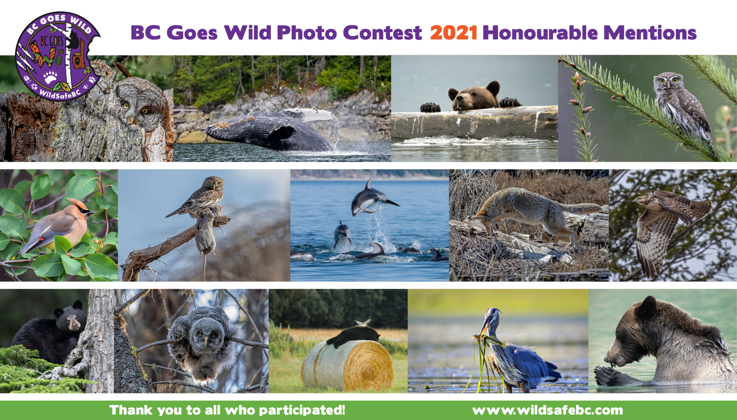 BCGW Photo Contest Honourable Mentions 2021-01