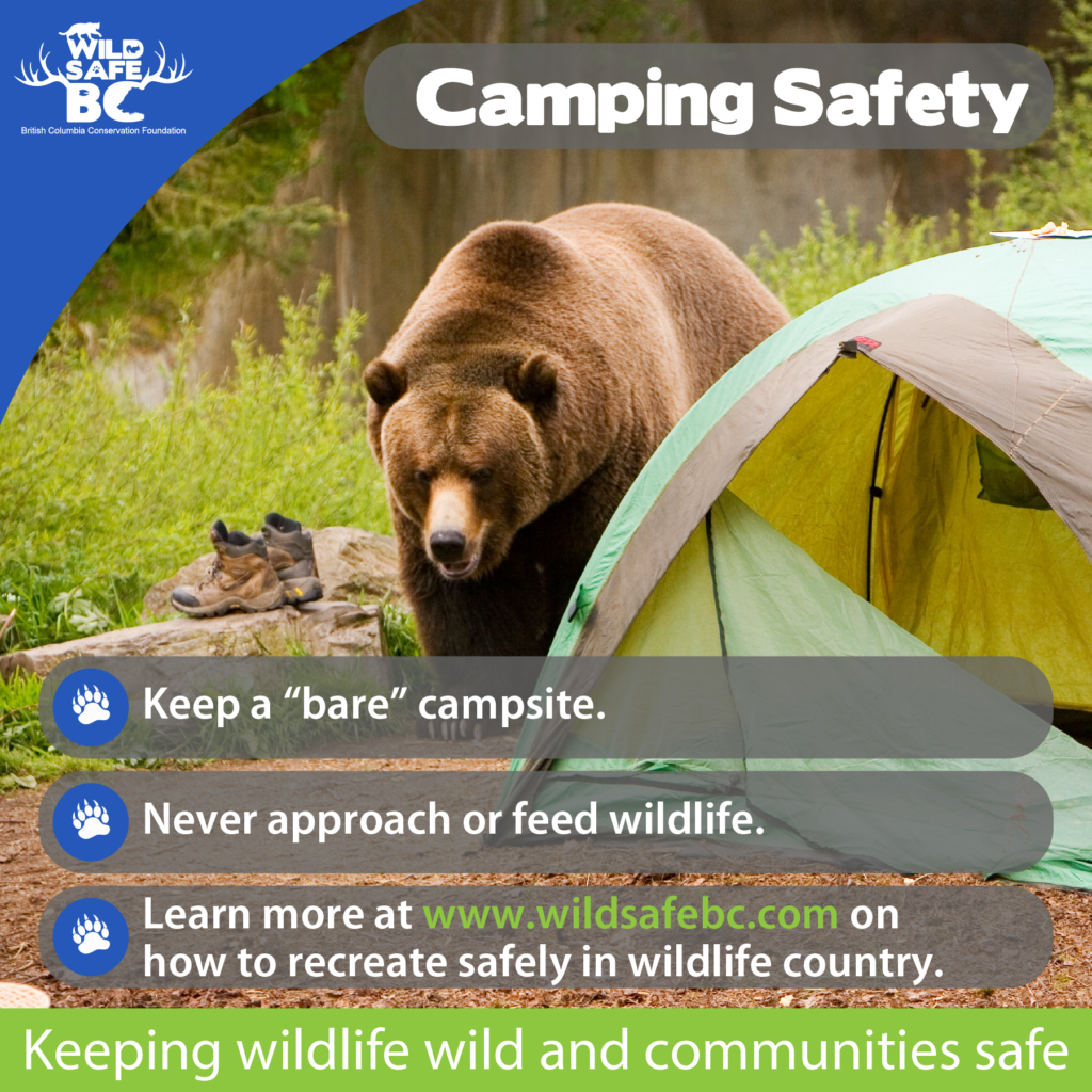 Wildsafe Camping Tips Frontcountryno Qr 01 Wildsafebc