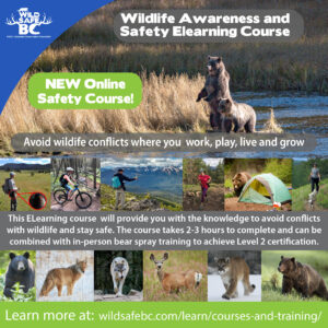 Wildlife Awareness and Safety Elearning Promo-01