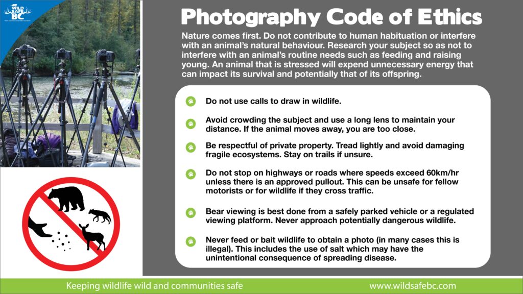Photography Code of Ethics WildsafeBC