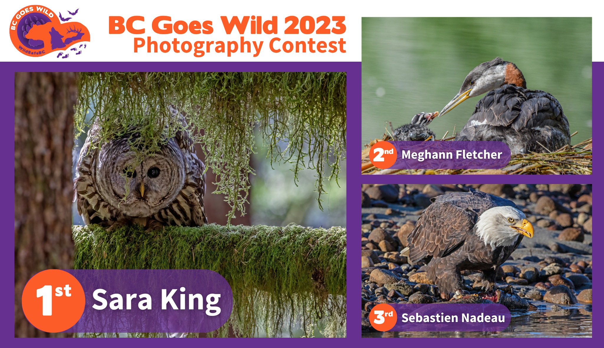 BCGW Photography Contest Winners 2023